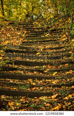 Rotten stairs in autumn colors