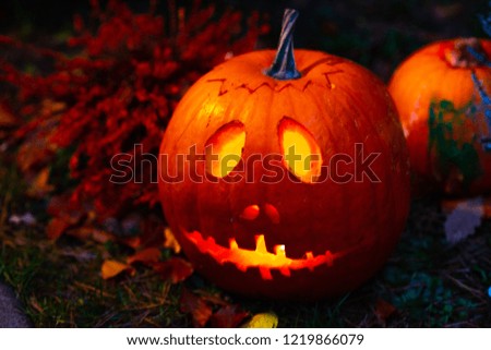 colorful halloween pumpkins lying on the table surrounded by lights during halloween night 
