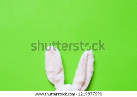 White ears of fluffy white toy rabbit