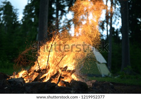 beautiful fire from the fire