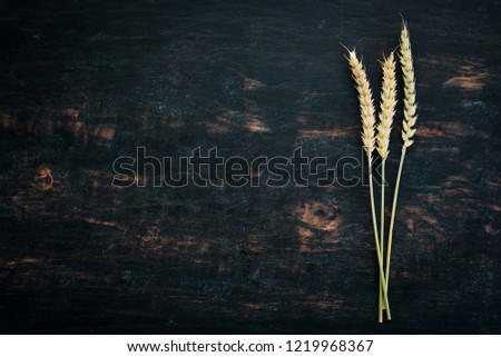 Dry wheat. Top view. On a black wooden background. Free copy space.