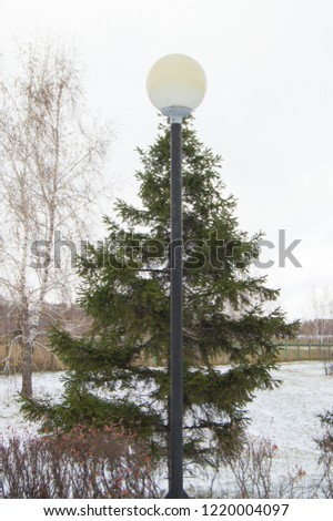 Funny picture - the lamppost with a white canopy on the top of the tree spruce tree winter in the Park