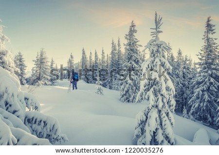 Wonderful Winter Landscape. Scenic image of fairy-tale woodland with colorful sky. Fantastic Frosty Morning in the Wintry Forest. Traveler in snowy mountain forest. Impressive picture of wild area. 
