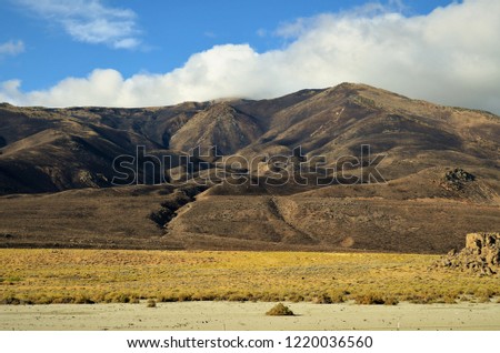 Burnt nevada landscape after a wildfire 3