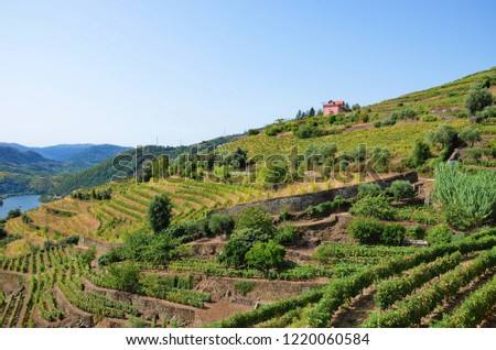 Lonely house on the top of the hill in the vineyard landscape along the Douro river, Portugal. Douro Valley is a famous wine region, known mainly for the production of port wine. September 2nd 2018