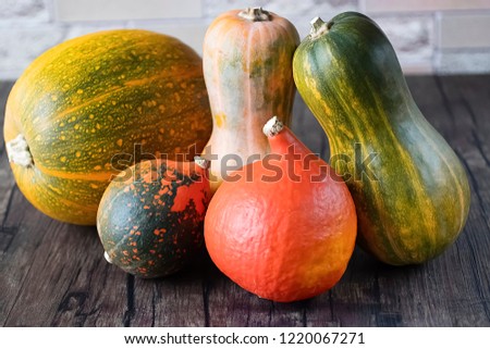 Multi-colored pumpkins on  brown wooden table. Organic food. Autumn harvest. Soft focus.