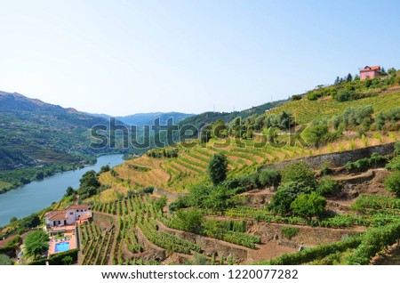 Beautiful landscape with vineyards in the hills along the Douro river, Portugal. Douro Valley is a famous wine region with amazing terrace vineyards. The area is known mainly for port wine production.