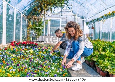 Portrait of woman and man positive gardeners in sunny greenhouse. Young smiling people florists working in the garden. Team of Happy Gardeners Busily Working, Arranging, Sorting Colorful Flowers.
