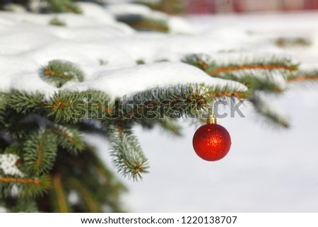 Red christmas ball on a tree in the snow