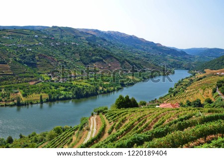 Douro Valley with its beautiful vineyards in the hills along the Douro river near by village Mesao Frio, Portugal. The area is well known for the production of port wine. Photo: September 2nd 2018