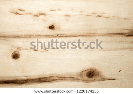 surface of a wooden board with dark knots and lines, light birch texture, close up abstract background