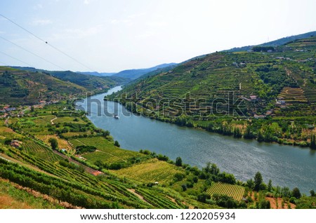 Tourist ship floating on the Douro river between the hillsides with beautiful vineyards, Portugal. The Douro Valley, where the port wine is produced, is a popular tourist destination. Sep 2nd 2018