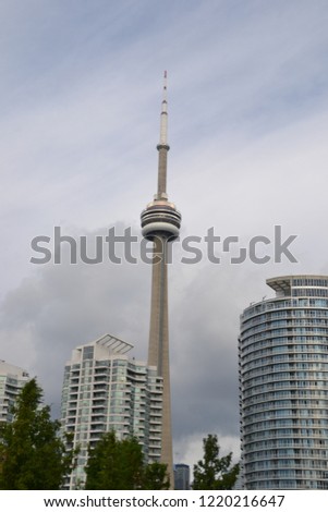 CN Tower in toronto towers over all other buildings in the city