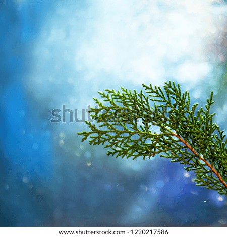 christmas decoration on blue  background