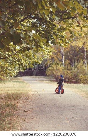 Little boy is riding on a bike in autumn day  under big linden tree