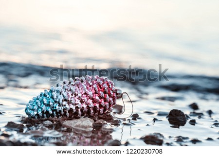 Holiday Background With Christmas Pinecone On The Beach At Sunset, Winter Holiday Concept