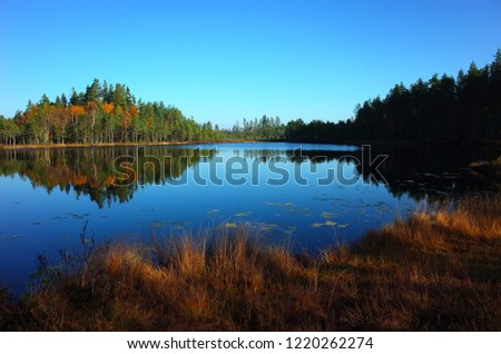 Nature of Sweden in autumn, Calm lake Dodtjarnen with forest reflection, Peaceful outdoor image