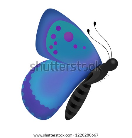 butterfly flying with purple, blue and green wings illustration