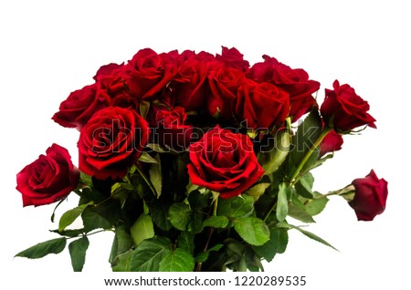 Picture of Bouquet of red roses with white background