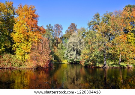 trees with colorful foliage in autumn Park
