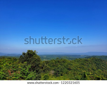 Picture with background of rainforest in north eastern of Thailand