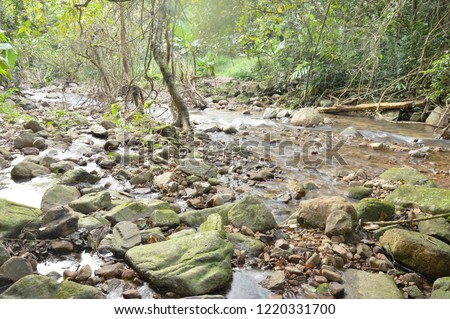 water run through river pass rock and stone in forest 
