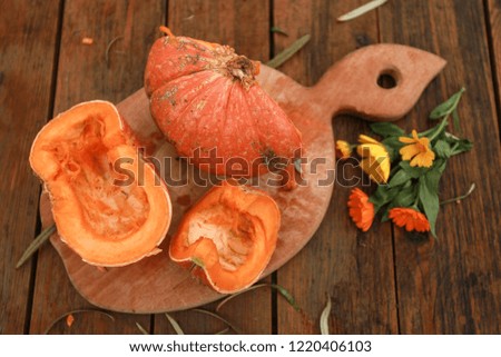 Pumpkin on picnic table in the fall
