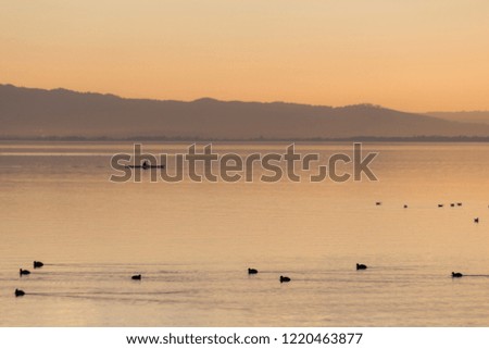 Beautiful view of a lake at sunset, with orange tones, birds on water and a man on a canoe
