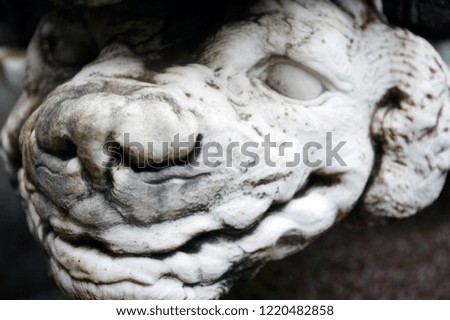 animal head, fragment of sculpture
