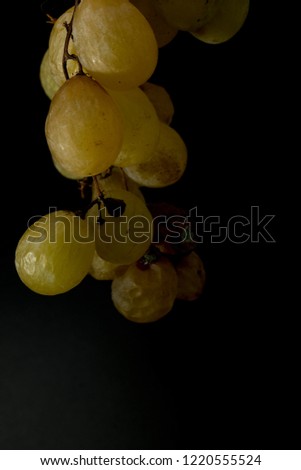 portrait of ripe white grapes