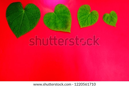 A leaf shaped like a heart.