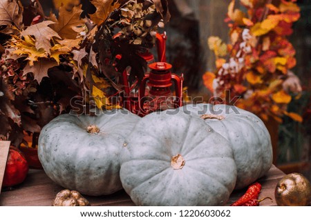 Traditional decor for restaurants during Halloween and Thanksgiving holidays. A colorful pumpkin patch, fruits and vegetables are gifts of autumn.