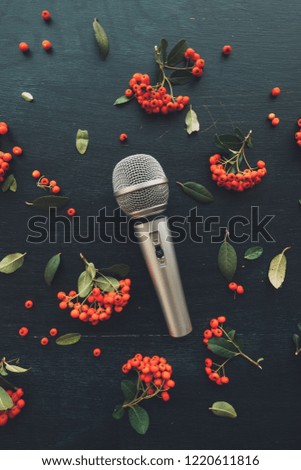 Microphone flat lay top view on dark background decorated with wild berry fruit arrangement