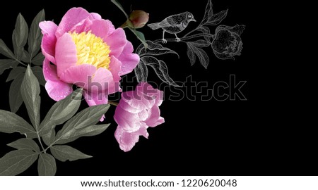 Floral modern card. Photo pink flowers peonies and drawing bird on a branch on black background. Template for design wedding invitations, greetings, business card, decoration packaging, banner poster