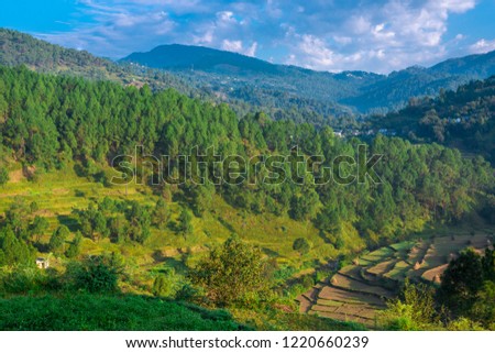 Farm in Bageswar, Uttrakhand, India