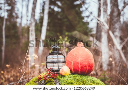 Seasonal sutumn set on mossy stone: Berberis vulgaris branch, orange pumpkin,apple, forest with different blurry trees on the background.