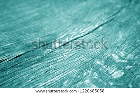 Old log cut macro in cyan tone. Abstract background and texture for design.