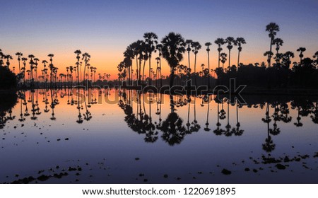 New silhouette palm trees on the colorful twilight sky and sunrise, have reflection shadow on the water. 