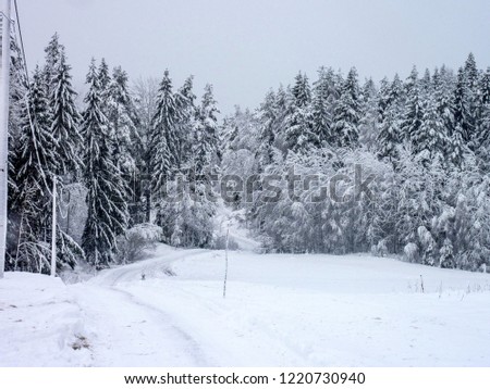Narrow forest road going through pine and evergreen tree forest covered in snow. Winter panorama.
