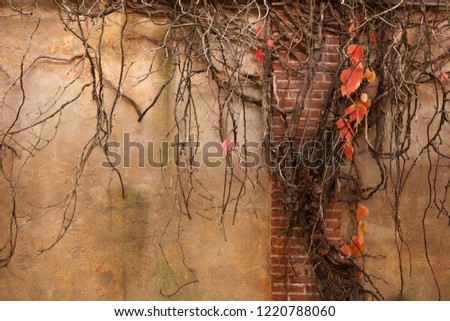 photo of wall detail and texture, background, abstract