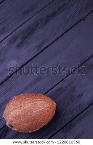 Whole coconut and copy space. Big brown coconut on dark wooden surface with text space, top view.