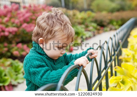 Little cute boy playing in the park. Close up picture of Lovelyl ittle boy in the autumn garden. Outdoor activities for children