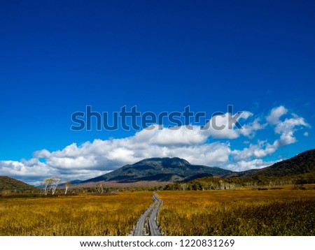 It is a scenic autumn landscape. The wood road gives a feeling of depth to the picture. 