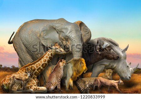 Side view of Big Five and wild african animals composition on savannah landscape at sunset light. Serengeti wildlife area in Tanzania, Africa. African safari scene. Wallpaper and collage background. Royalty-Free Stock Photo #1220833999