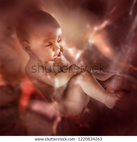 conceptual maternity image with an embryo inside belly during pregnancy Royalty-Free Stock Photo #1220834263