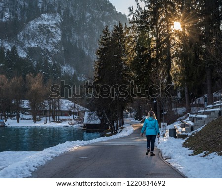 capturing the moment the sun passes through the trees whilst walking around the beautiful Lake Bled in Slovenia