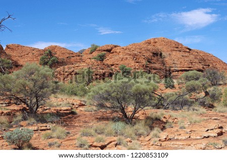 The Kings Canyon in the Red Centre in Australia
