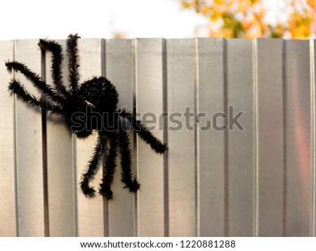 pictured in the photo large and artificial spider, halloween decoration