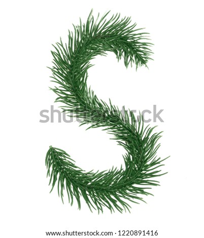 Letter S, English alphabet, collected from Christmas tree branches, green fir. Isolated on white background. Concept: ABC, design, logo, title, text, word