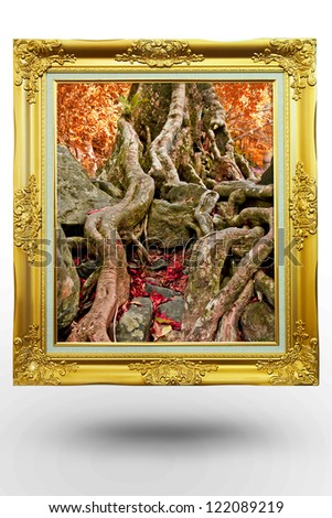 old antique gold frame in background tree over white background